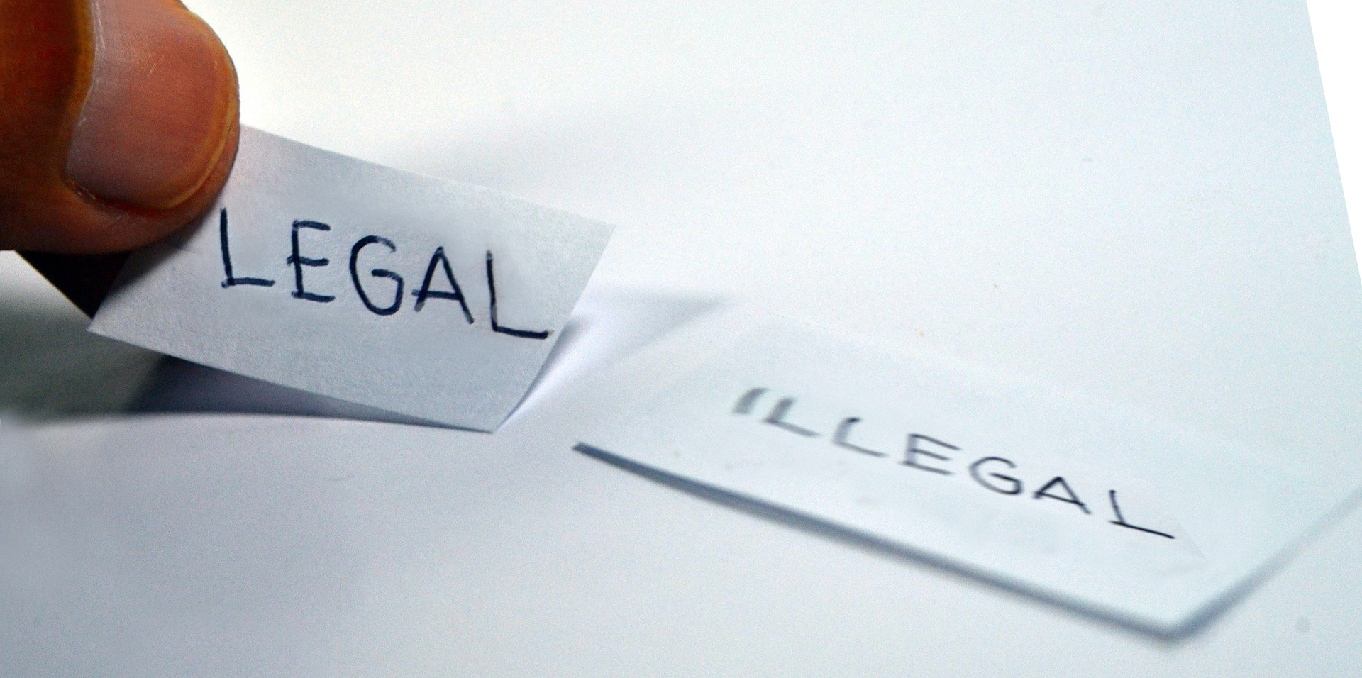 Bild der News Gesetze Richtlinien Non Food